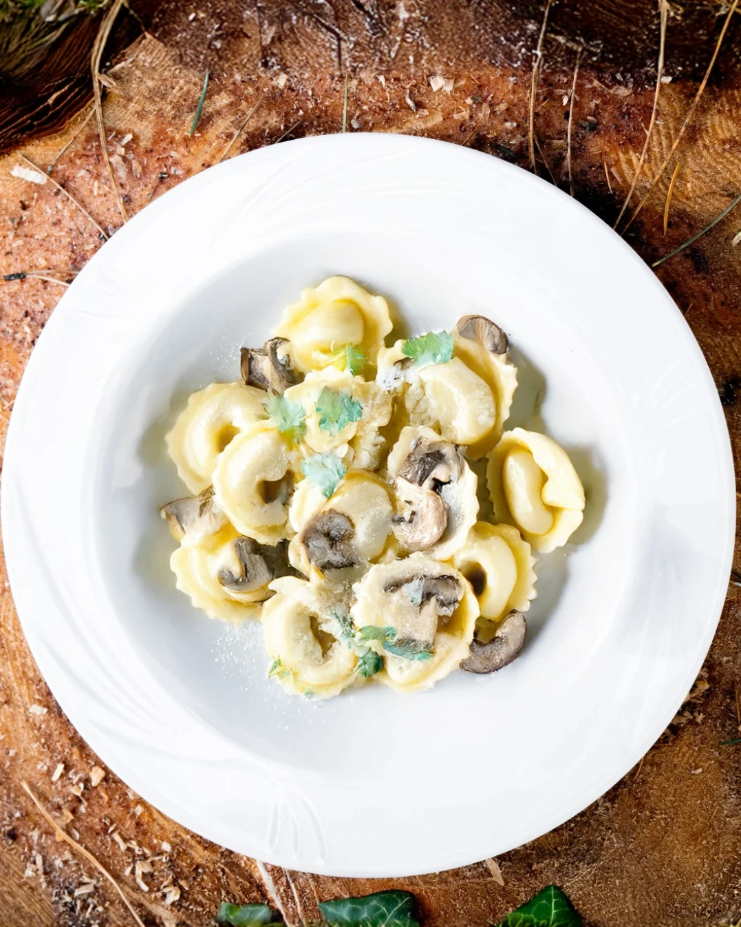 tortelloni-home2